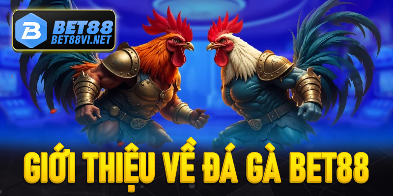 Giới thiệu đôi nét về sảnh đá gà Bet88