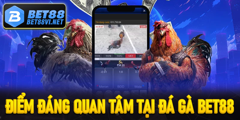 Điểm đáng quan tâm tại sảnh cược đá gà Bet88