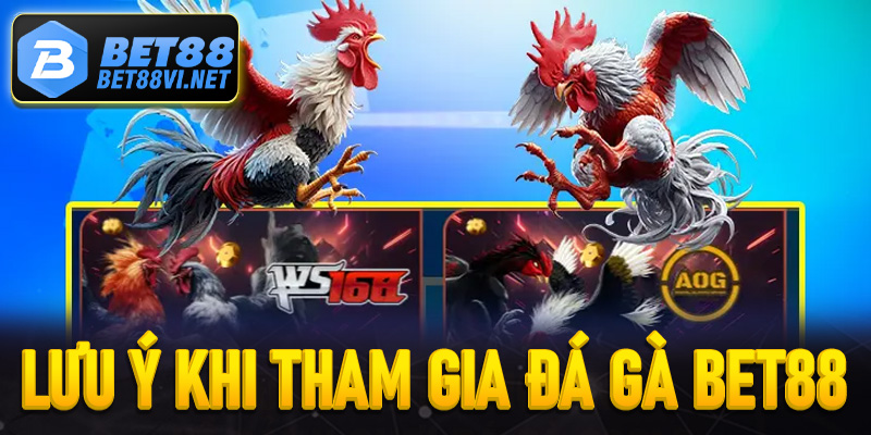 Những điểm lưu ý khi tham gia đá gà Bet88